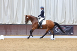 SBM_000262