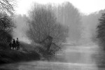River Frome misty mornng  B0187