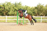 SBM_000337