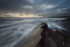 Garrettstown Swell.