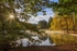 Sunrays at Mallards Pike