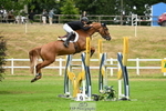Cls 30 Snr Foxhunter 2nd Round portfolio