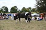 WJ6_5645