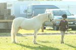 SBM_57382