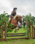 Dunblane show-174