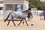 SBM_09208