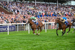 220826-Race 4-Daiquiri Bay-0442