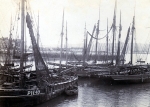 Boats Plymouth Barbican 58