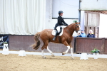 SBM_003233