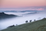 ab616 Knighton Down misty dawn