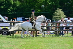 SBM_07774