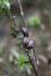 Insects _ AN 011
