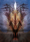 M36 Tree with Luminous Flame