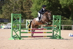 Unaffiliated Show Jumping portfolio