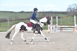 CLASS 19 SUN Pony British Novice / 0.80m Open portfolio