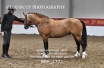 BPP_2771