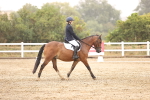 SBM_000960
