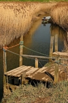 <center>Cley Marshes</center><br>