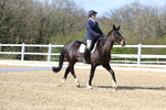 3E7A2013