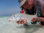 Bonefish in the Hands 2010