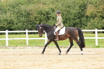 SBM_000206