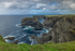 Loop Head Cliffs