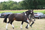 WJ6_6242