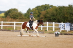 SBM_009299