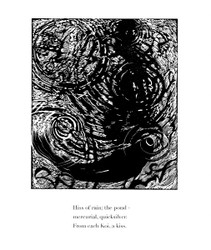 From Each Koi a Kiss