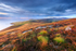 Dodging the Showers, Cronk Ny Arrey Laa
