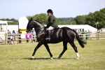 SBM_17911
