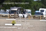 BPP_9737