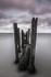 Minnis Groyne