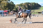 BPP_8964