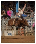 Rodeo Portfolio - Non Traditional 01