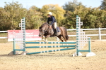 SBM_001031