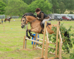 Dunblane show-528