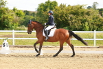 SBM_007663