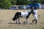 WJ6_8605
