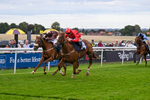 160926-Race 4-Woodvale-0663