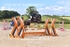 BPP_3986
