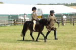 SBM_05254