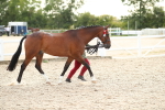 SBM_08541