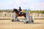 SBM_006090