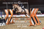 BPP_3888