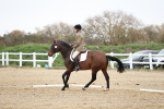 SBM_004512