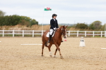 SBM_001349