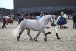 SBM_007260