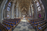 Bristol Cathedral, College Green, Bristol