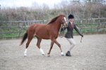 SBM_003907